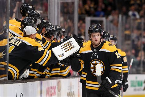 Boston Bruins Roster ~ Phuntdesigns