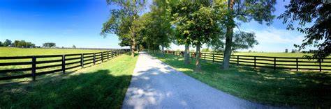 Horse Farms Just Outside Lexington Ky Known As The Horse Capital Of