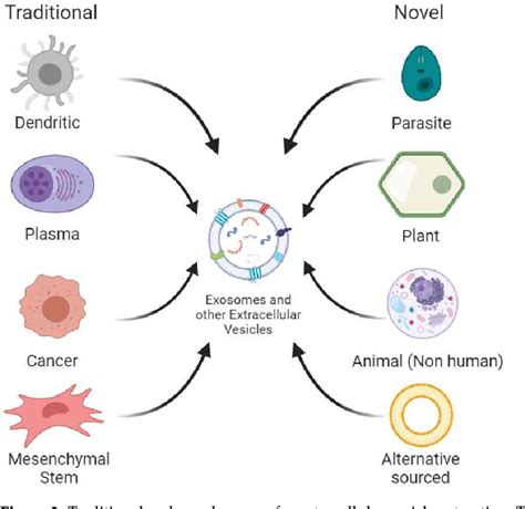 Figure 2 From Novel Technologies For Exosome And Exosome Like