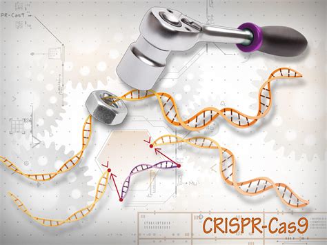 Crispr Cas Gene Editing