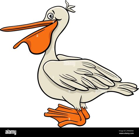 Cartoon Illustration Of Funny Pelican Bird Comic Animal Character Stock