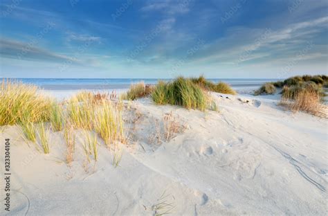 Dunes Sand Beach North Sea In Sunshine Stock Photo Adobe Stock