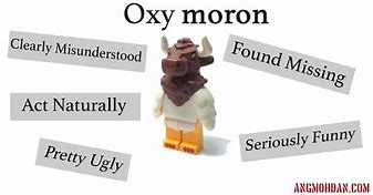 Image result for oxymorons examples