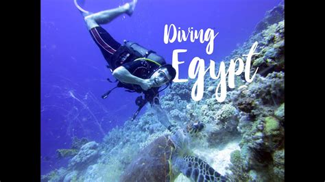 Diving Egypt Hd Beautiful Red Sea Dive Trip Safaga Youtube