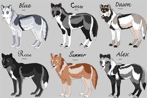Wolf Characters By Shynight223 On Deviantart