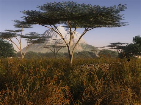 Best 44 Serengeti Wallpaper On Hipwallpaper Serengeti