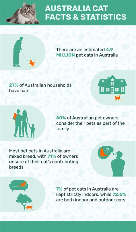 22 Australia Cat Statistics And Facts All Cat Lovers Should Know 2023