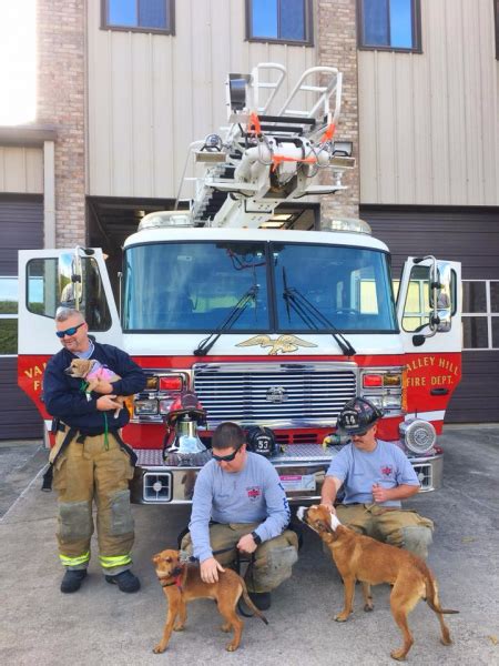 Our Rescuers And Rescues Calendar Blue Ridge Humane Society