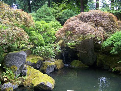 Portland Japanese Gardens | Portland japanese garden, Japanese garden, Japanese maple