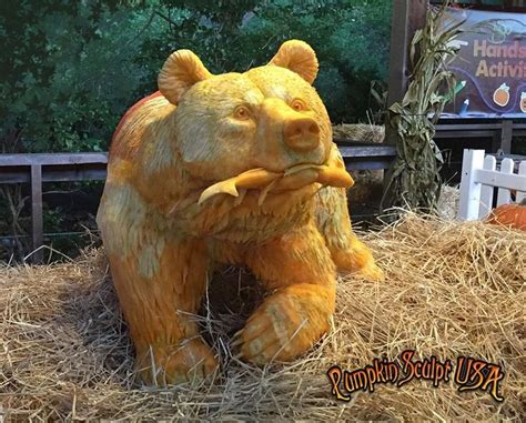 Grizzly Bear Pumpkin Sculpt Pumpkin Sculpting Halloween Crafts Bear