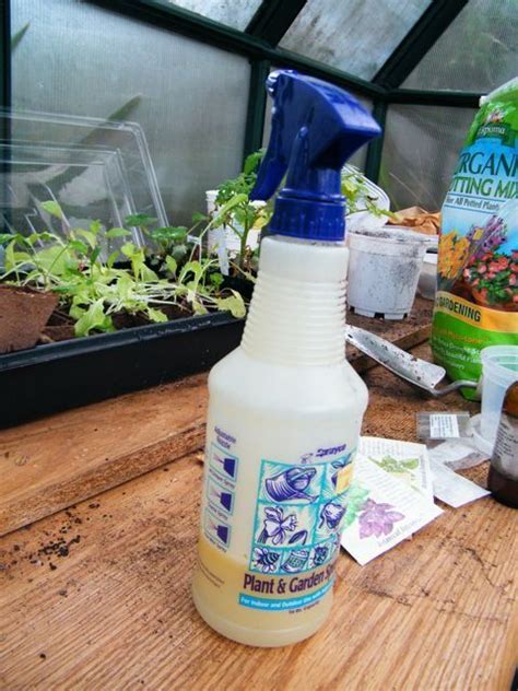 How To Make Your Own Natural Pesticide Natural Pesticides Diy