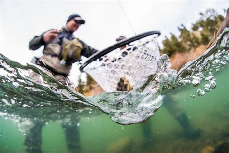How To Choose A Fly Fishing Net 5280 Guides Choices And Tips