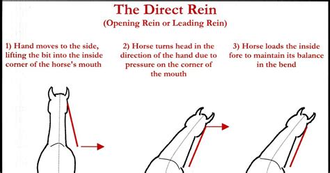 Click On Image For Larger View The Direct Rein As Its Name Implies