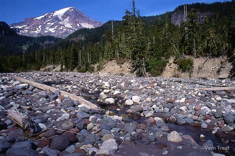 Mount Rainier From Nisqually River Christine Falls Trail By Vern