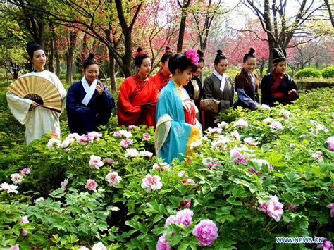 Peony Cultural Festival In Luoyang Cctv News English