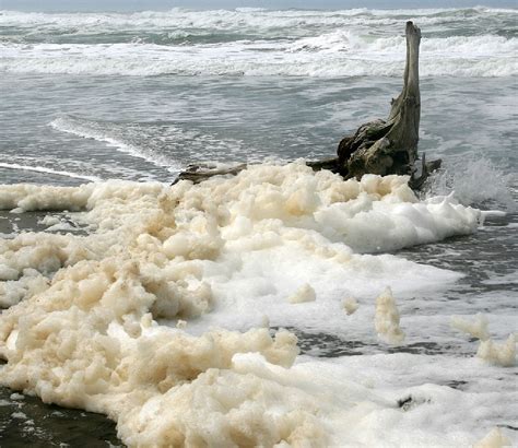 What Is Beach Foam Science Illustrated