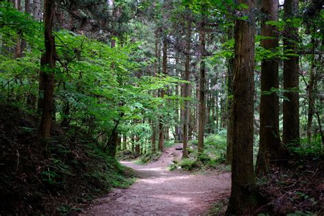 5 days & 4 nights 4.8 read 25 reviews. Best hike along Japan's Nakasendo Trail