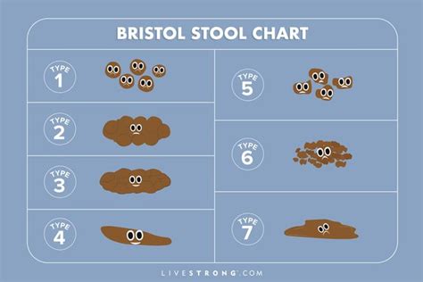 What Different Poop Shapes Mean For Your Gut Health