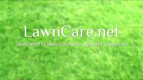 Most require an average of 1 to 1½ inches weekly, but specific watering needs vary by turfgrass type (cool. How Long Should I Water My Lawn? - YouTube