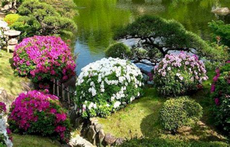 Breathtaking Best 25 Beautiful Japanese Flower Gardens Ideas That You