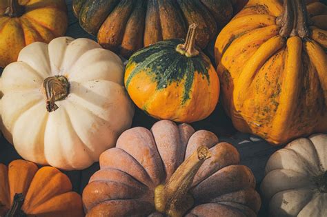 Pumpkins Autumn October Free Photo On Pixabay Pixabay