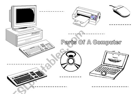 30 Label Parts Of A Computer Labels For You