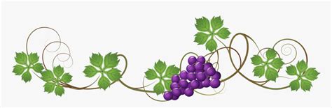 | view 39 grape illustration, images and graphics from +50,000 possibilities. Clip Art Picture Free Download - Grape Leaf Vector Free ...
