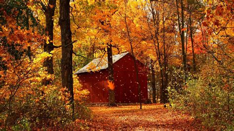 Free Download Wallpaper 3840x2160 Leaf Fall Autumn Garage