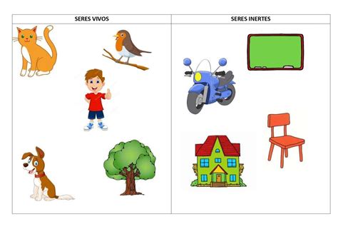 Los Seres Inertes Y Seres Vivos Flashcards Images And Photos Finder