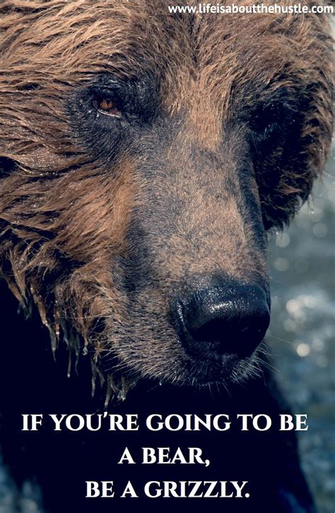 If You Re Going To Be A Bear Be A Grizzly Whoever You Are Be Proud And Own It Whatever You