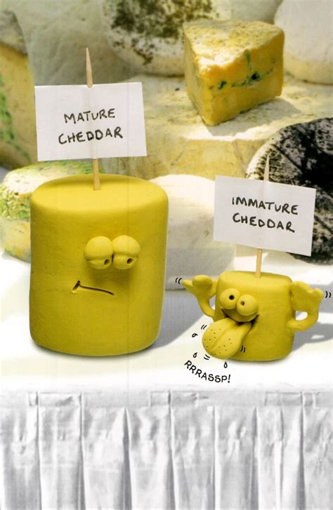 Funny Mature Cheese Birthday Card Cards Love Kates