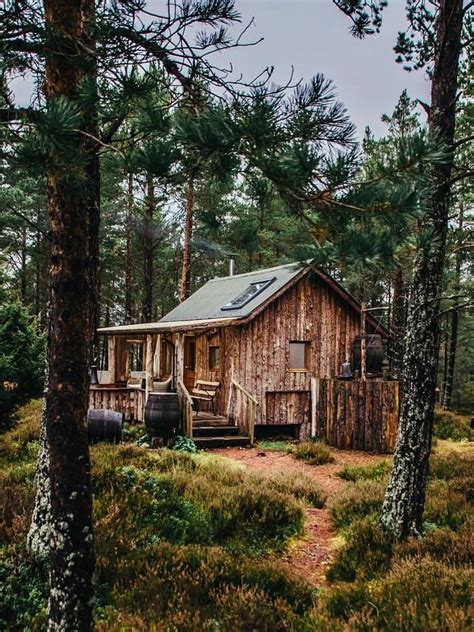 The cabin in the woods. utwo: "Cabin in the Woods © the lazy duck " | House in the ...