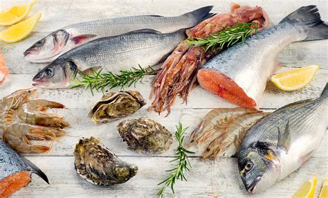 Frischen Fisch erkennen 8 Tipps