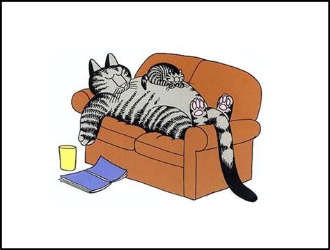 Bernard Kliban Cat Dreams Cats Illustration Kliban Cat Crazy Cats