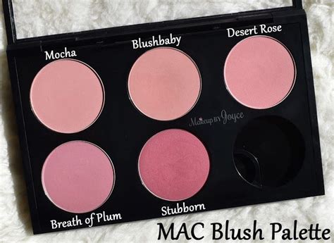 Makeupbyjoyce Swatches Review Mac Haul Blush Eyeshadows Hot Sex Picture