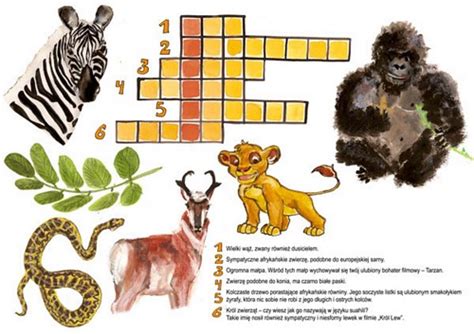 Afrykańskie Zwierzęta Fundacja Edukacji Międzykulturowej