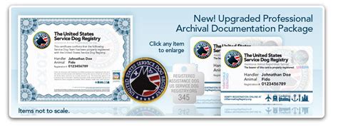 Get your service dog certification and identification card now. Confession: My "Service Dog" Is a Total Fraud