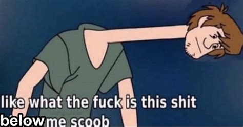 Like What The F Is This S Below Me Scoob Shaggy Rogers Know Your Meme