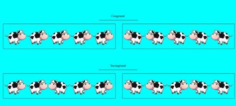 A task where stimuli are assigned one of two responses and the particpant needs to respond to the target stimulus only when it is flanked by other associated stimuli. Congruent and incongruent trials from the picture-based ...