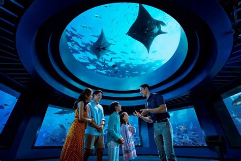 Sea Aquarium Ticket Price And The Latest Update 2022