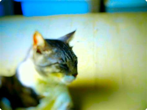 So what if i'm a villainess, i'll show you all i can become happy! 2007 Archives - Living on the Edge