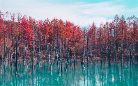 3840x2400 Autumn Lake Reflection Trees 4k Hd 4k Wallpapersimages
