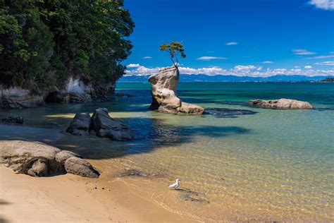 Tinline Bay Attractions And Activities In Abel Tasman National Park New