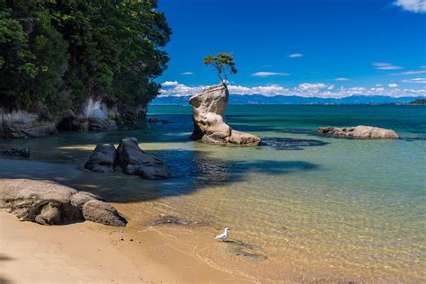 Tinline Bay Attractions Activities In Abel Tasman National Park New Zealand