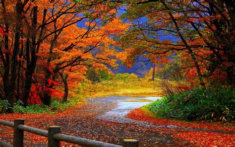 Autumn Screen Wallpapers Wallpaper Cave