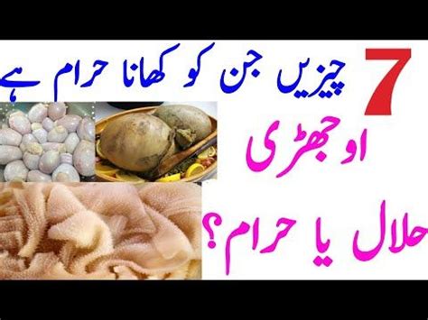 Is crab haram or halal? 7 Haram Cheezain |Haram Gosht |Kapooray khana || Ojri ...