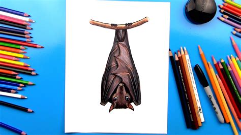 How To Draw A Bat Art For Kids Hub