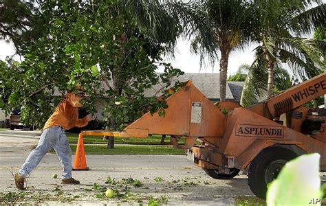 Residential Tree Services Near Me Palm Beach County Palm Beach County