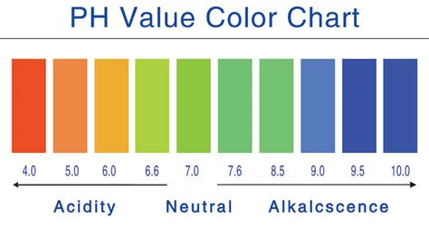 The easiest way to express and compare very large or very small amounts is to take their logarithmic value. pH मान pH value | Vivace Panorama