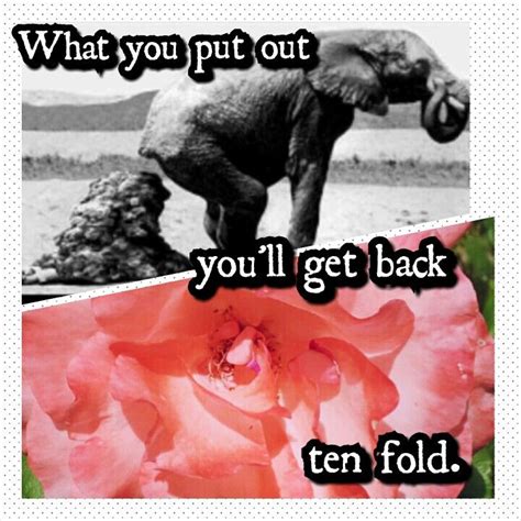 What You Put Out You Get Back Ten Fold Inspirational Quotes Fold